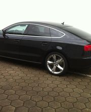 Scheibentönung HP15