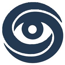 Abstract eye logo with swirling circular lines in dark blue.