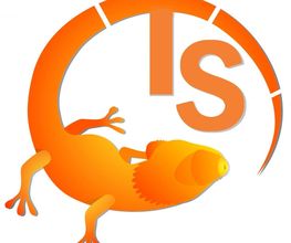 TS Software Logo