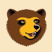 Cabeça de urso desenhada em estilo gráfico, com fundo bege.