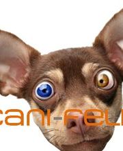 cani-feli tierisch gesund Logo