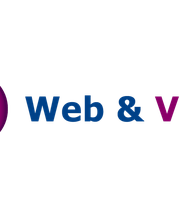 Web & Video Logo