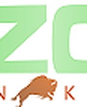 B-ZON Creative Internet Solutions Logo