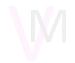 VM-Meyer Logo