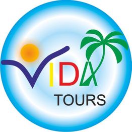 Logotipo de "Vida Tours" con palmera y sol en fondo azul. Letras en colores vivos.