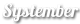 „Systember“-Logo mit weißem Text auf transparentem Hintergrund.