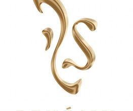 renesim GmbH Logo
