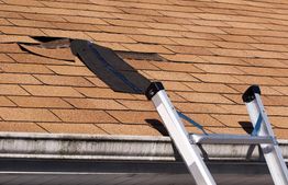 Ladder against a shingled roof with visible storm damage and missing shingles.