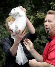 Frank-der-Zauberer Logo