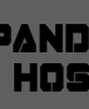 Panda-Hosting.de Logo