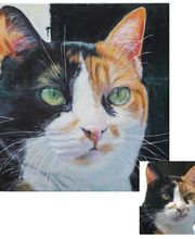 Popy - Original und Fälschung