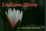 Weiße Blume vor dunklem Hintergrund mit rotem Text "Indien Store" oben.