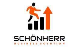 Geschäftsmann steigt über Balkendiagramm, roter Pfeil zeigt nach oben. Text: "SCHÖNHERR BUSINESS SOLUTION".