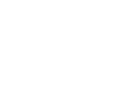 insel.design Logo