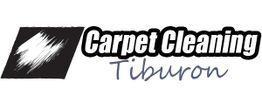 Logo of Carpet Cleaning Tiburon with a black and white abstract design on the left.