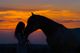 Frau steht bei Sonnenuntergang mit einem Pferd, Silhouette im Vordergrund.