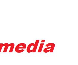 SBW-Multimedia Logo