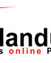ziellandung.de das online Portal