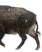 wildfleisch handel Logo