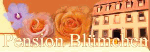 Banner mit Blumen, Gebäude und Text "Pension Blümchen" auf orangefarbenem Hintergrund.