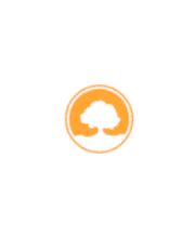 Alterix Logo