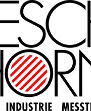 Leschhorn GmbH & Co.KG Logo