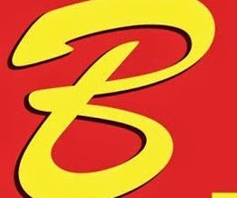 Bognar GmbH Logo