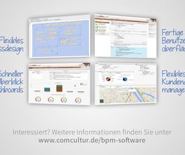 Webbasierte BPM-Software ConSol CM6