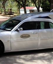 Auto argentata lunga parcheggiata all'aperto su strada, vicino ad alberi e recinzione.