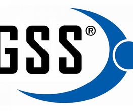 GSS Global Security GmbH Logo