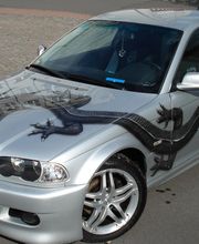 BMW Drachen