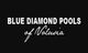 Text logo: "Blue Diamond Pools of Volusia" on a black background.