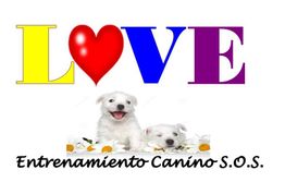 Texto "LOVE" en colores, dos perros blancos y flores. Abajo: "Entrenamiento Canino S.O.S.".