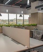 Oficina moderna con escritorios compartidos, sillas ergonómicas y plantas junto a grandes ventanas.