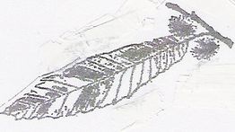 Abstrakte Zeichnung eines Blattes mit zwei Kugeln an der Spitze auf weißem Hintergrund.