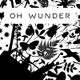 Schwarz-weiße Silhouetten von Insekten, Pflanzen und Tieren mit dem Text "Oh Wunder".