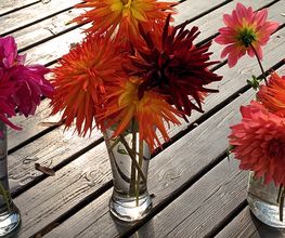 Tre vasi con fiori colorati su un tavolo di legno.