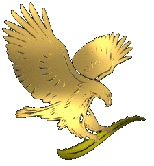 Goldener Adler im Flug, mit ausgestreckten Flügeln und Krallen, auf einem schwarzen Hintergrund.