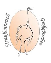 Straußenfarm Straußenranch Großgörschen