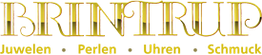 Textlogo "BRINTRUP" in gelb-brauner Schrift auf weißem Hintergrund.