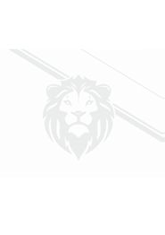 Illustrazione di una testa di leone stilizzata, sfondo bianco.