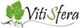 Logo mit grünem Blatt und Text "Vitisfera" in schwarzer Schrift.