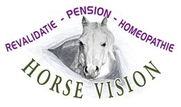 Logo met paard, tekst: "Revalidatie - Pension - Homeopathie, Horse Vision".