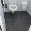 Toiletten reinigung