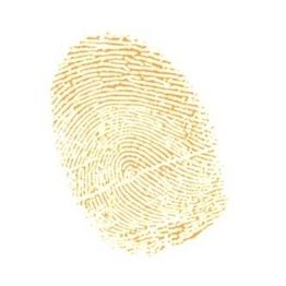 Fingerabdruck auf weißem Hintergrund, gelb-braune Linien und Wirbel sind klar erkennbar.