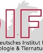 Deutsches Institut für Tierpsychologie & Tierheilkunde Logo