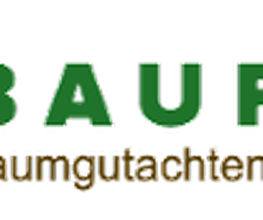 Bauroth Baumgutachten Baumpflege Logo