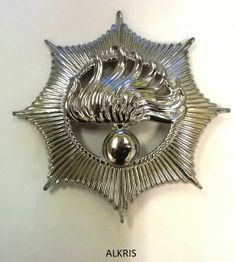 Silbernes Abzeichen mit einem Flammenmotiv auf einem sternförmigen Hintergrund.