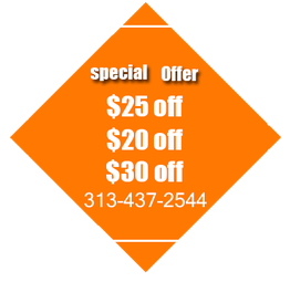 Special offer with discounts: $25, $20, $30 and contact number 313-437-2544 on orange background.