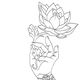 Hand met sieraden houdt een lotusbloem vast in een lijntekening.